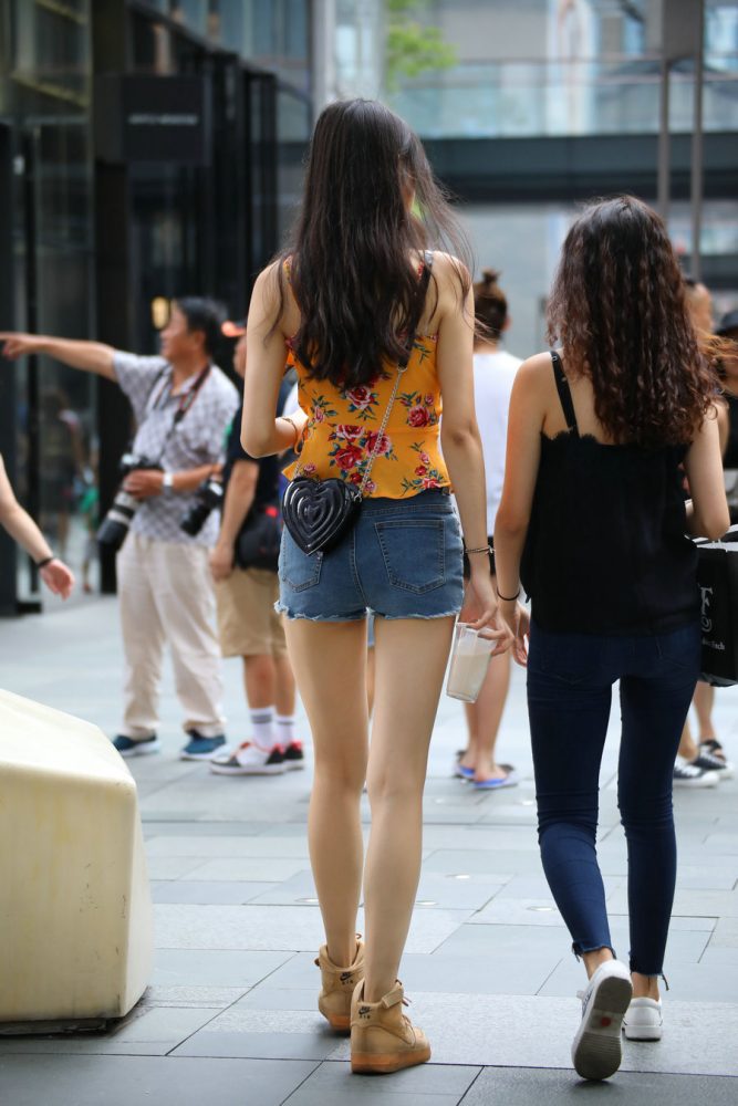 J2023 30P-255MB-JK图库