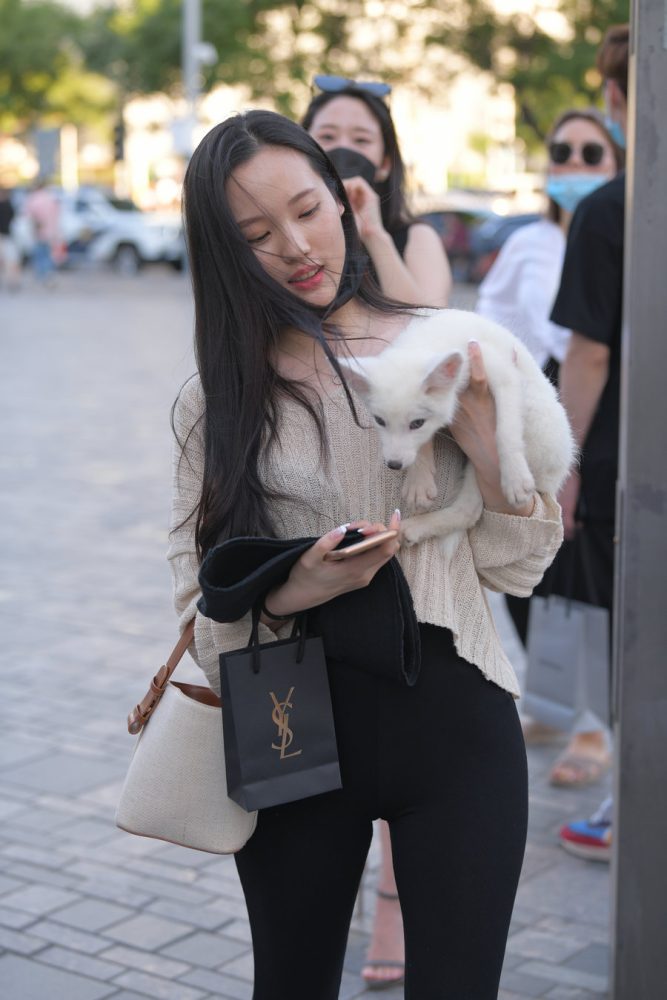 抱着小狗的漂亮女孩 J2106 136P-3.25GB-JK图库